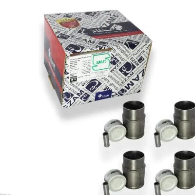 بوش پیستون اعظام