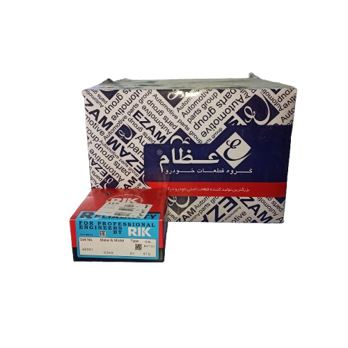 ei_1785932063624-removebg-preview بوش پیستون